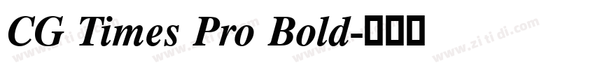 CG Times Pro Bold字体转换